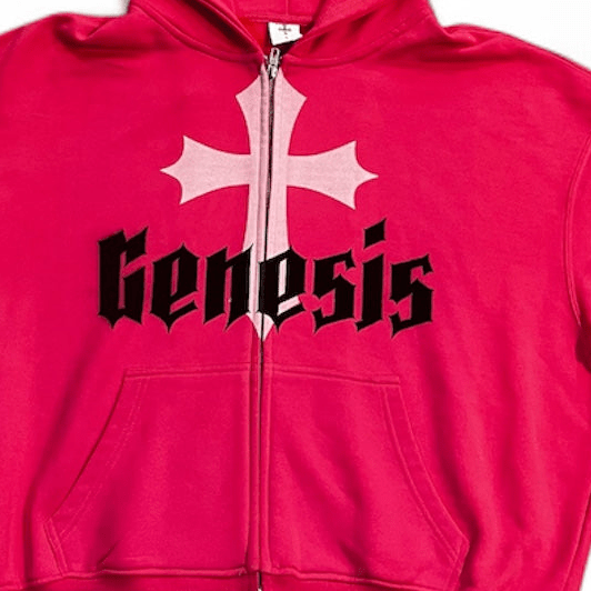 Pink Visionary Zip up